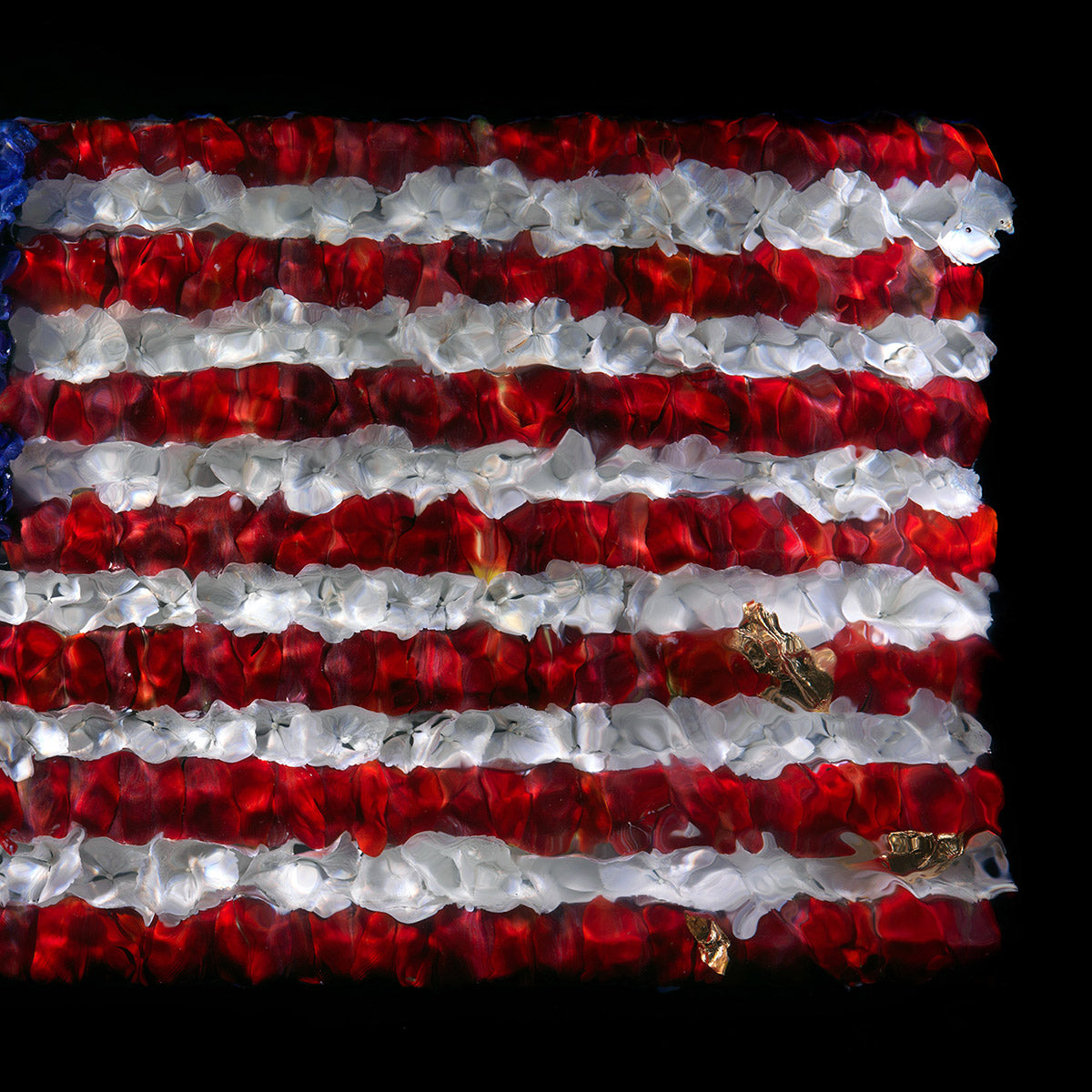 Giclée print of American Flag made with live petals