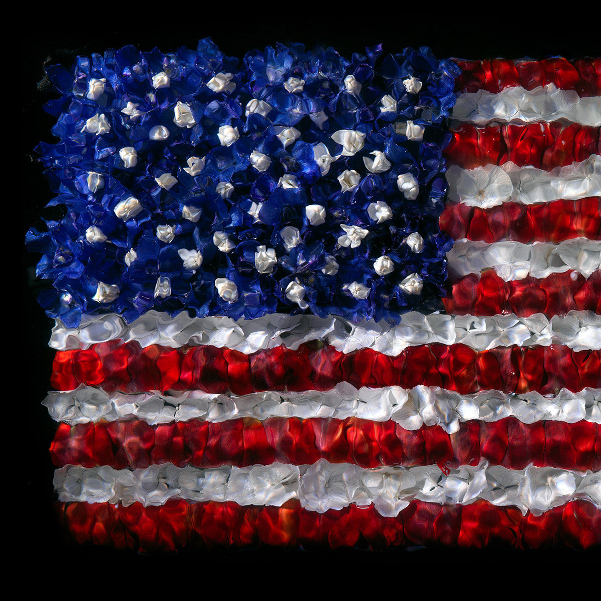 One-of-one American Flag artwork shot on 8x10 film