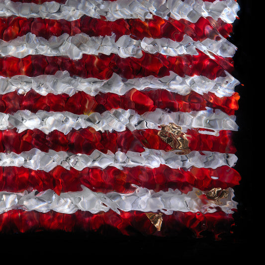 American Flag underwater floral sculpture print 0215