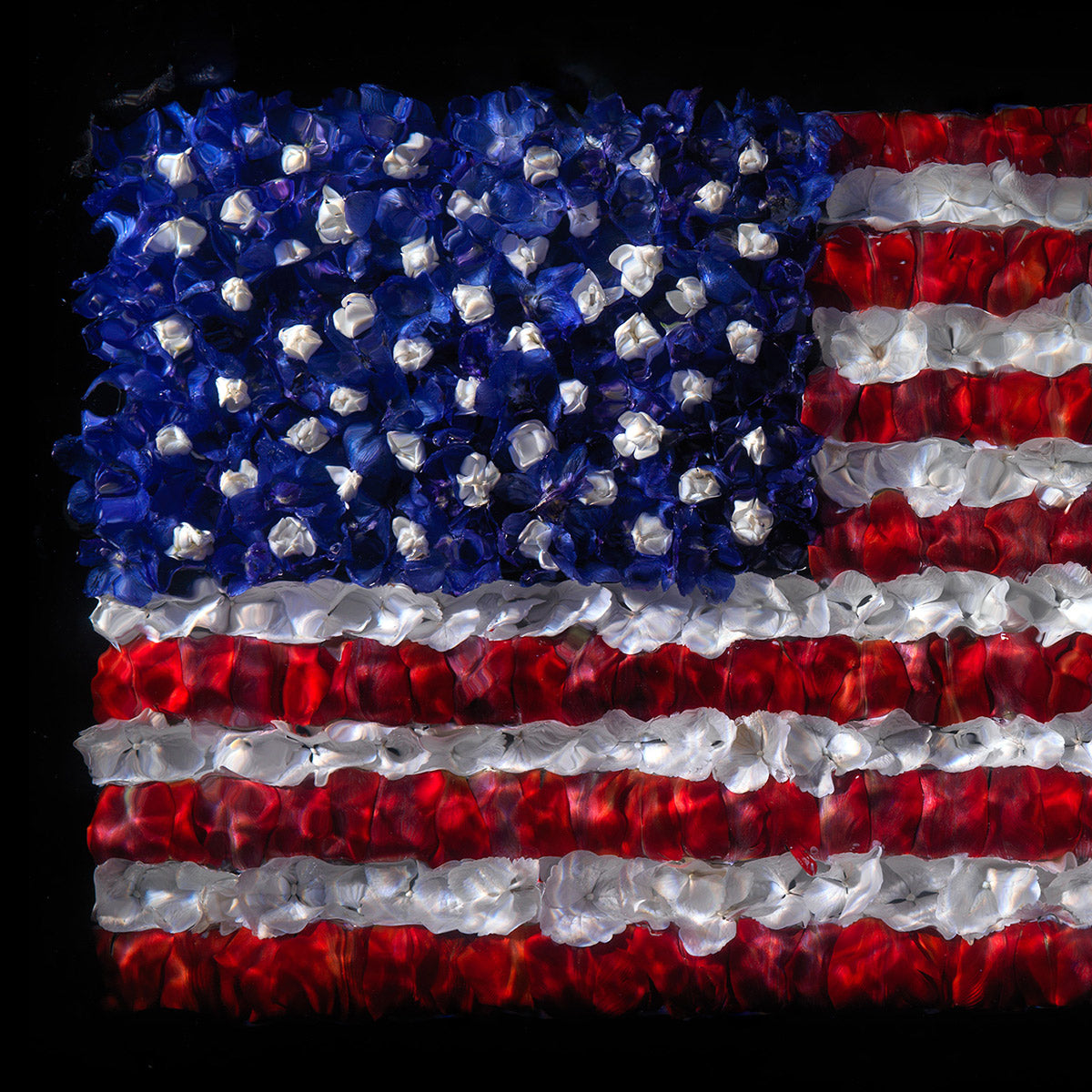 One-of-a-kind American Flag giclée fine art 0215