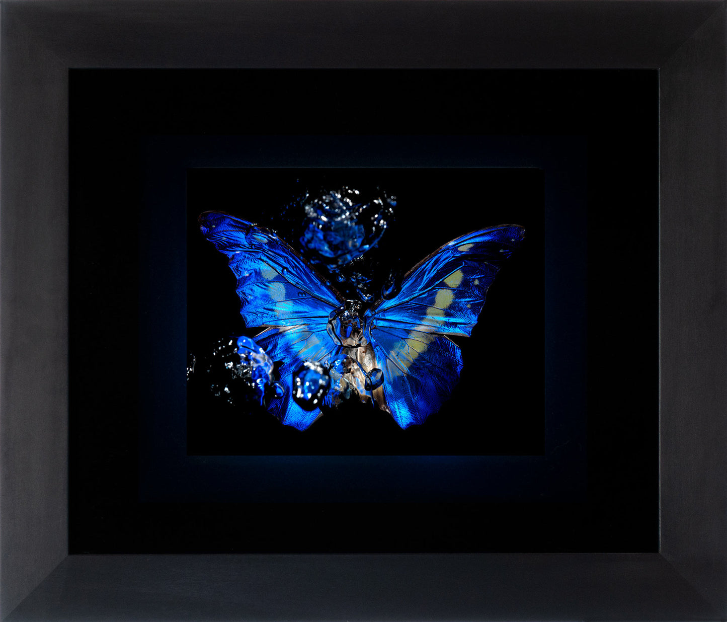 Transparency of a dream illuminated. Plate I photographic print - €6950 | Shop now & buy direct from the artists studio - Distil Ennui ™ est.1990.