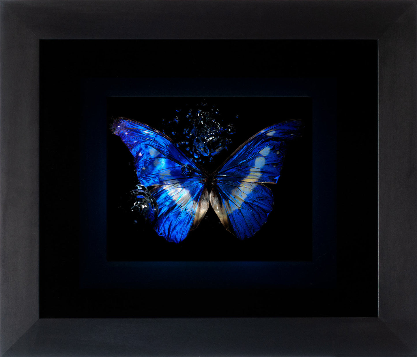 Transparency of a dream illuminated. Plate XIII photographic print - €6950 | Shop now & buy direct from the artists studio - Distil Ennui ™ est.1990.