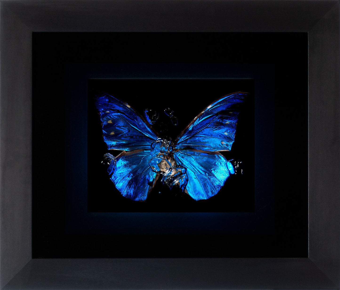 Transparency of a dream illuminated. Plate II photographic print - €6950 | Shop now & buy direct from the artists studio - Distil Ennui ™ est.1990.
