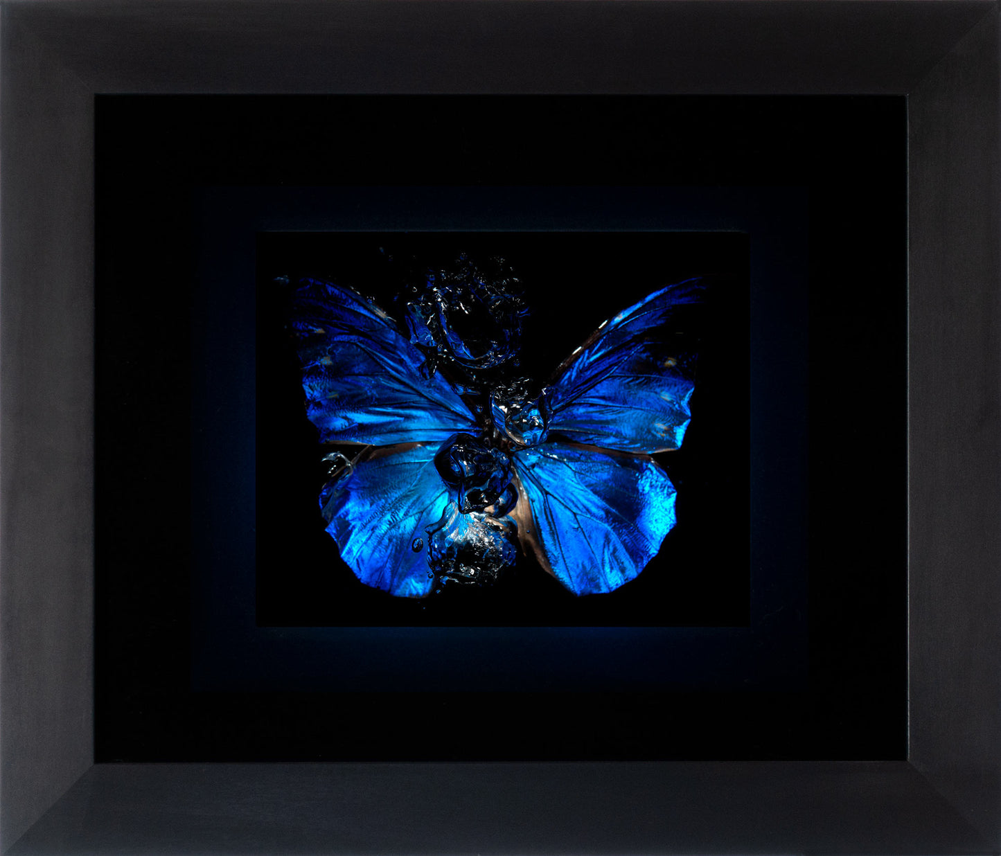 Transparency of a dream illuminated. Plate VI photographic print - €6950 | Shop now & buy direct from the artists studio - Distil Ennui ™ est.1990.