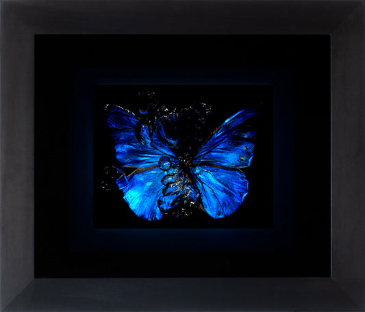 Transparency of a dream illuminated. Plate IX  photographic print - €6950 | Shop now & buy direct from the artists studio - Distil Ennui ™ est.1990.