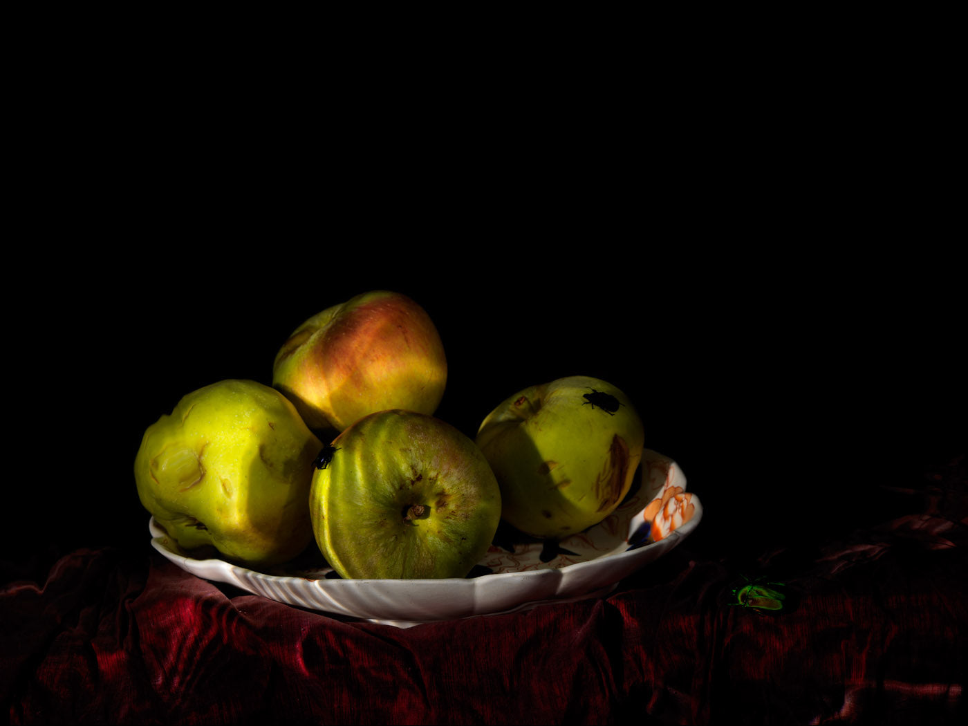 Untitled 1122, underwater Vanitas still life photograph photographic print - €3200 | Shop now & buy direct from the artists studio - Distil Ennui ™ est.1990.