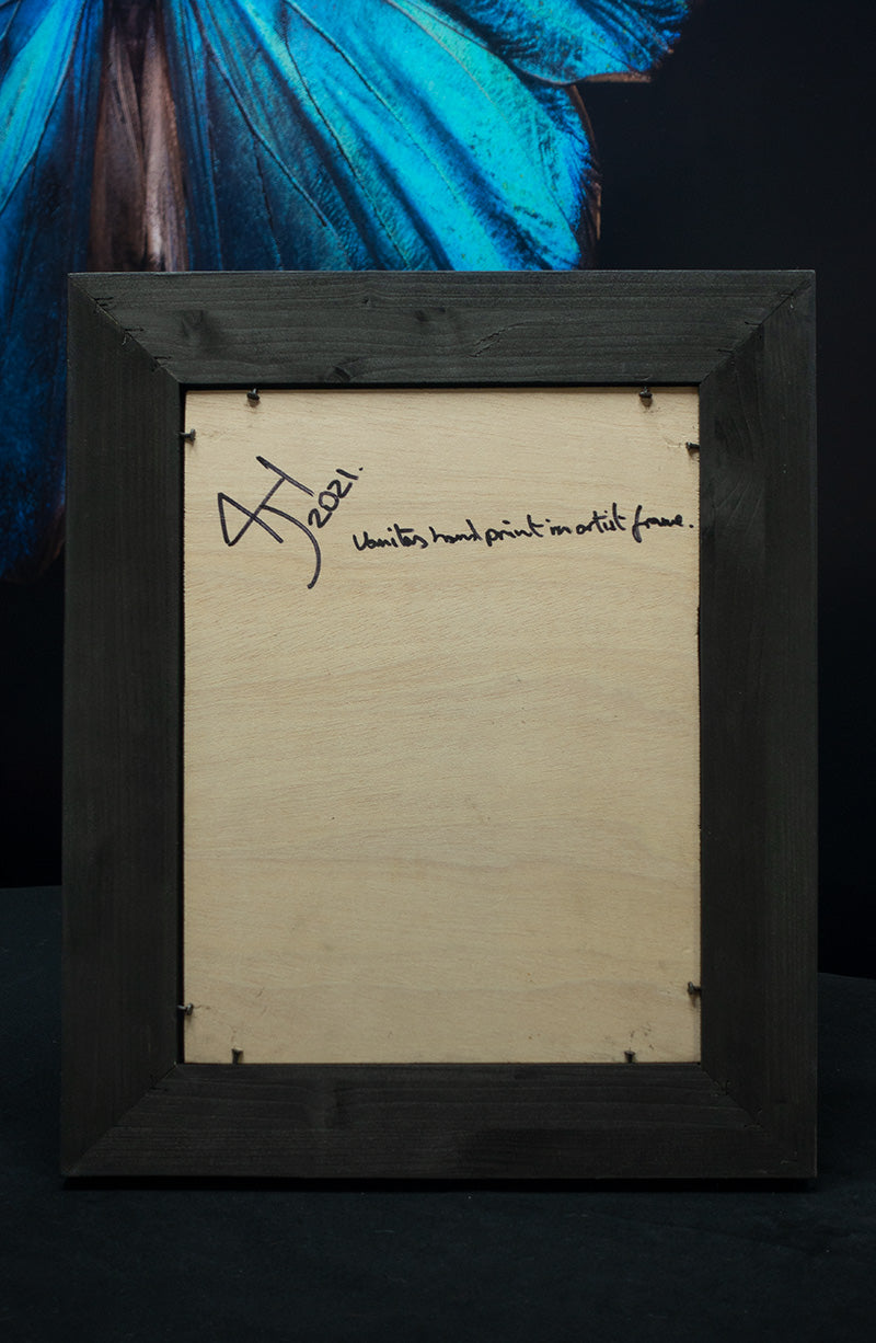 Underwater Floral Vanitas Photographic Print in Shou Sugi Ban Frame - €900 | Shop now & buy direct from the artists studio - Distil Ennui ™ est.1990.