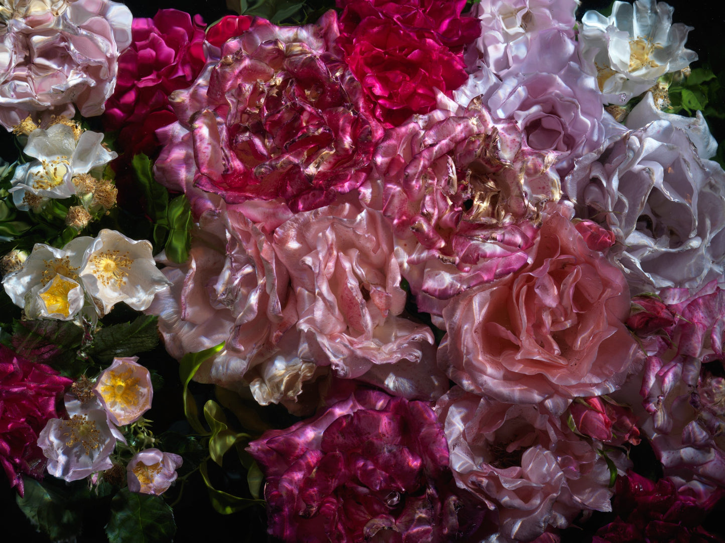 Floral Vanitas Drop - Unique Prints From A Limited Collection Of 100 - €90 | Shop now & buy direct from the artists studio - Distil Ennui ™ est.1990.