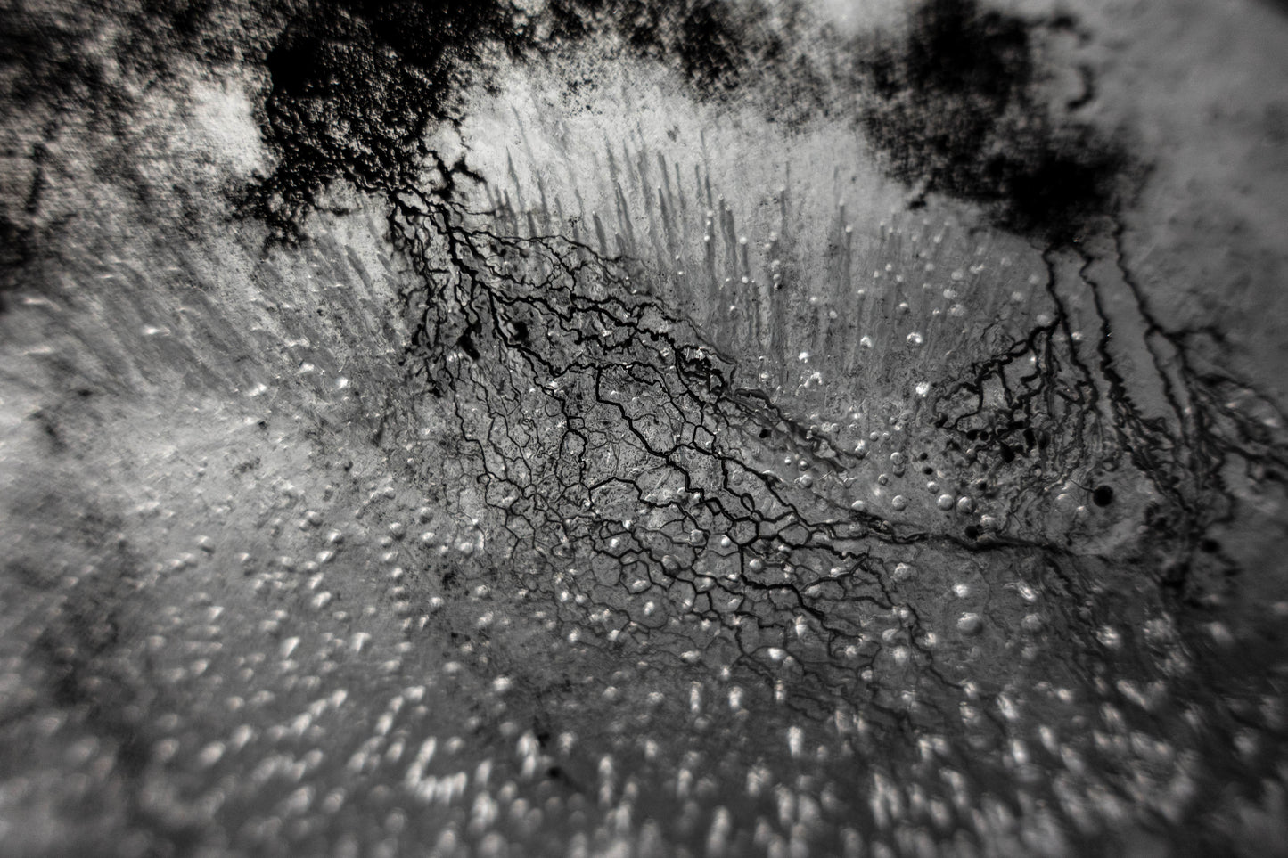 Enthalpy of fusion ´Plate No. 00882´ photographic print - €2300 | Shop now & buy direct from the artists studio - Distil Ennui ™ est.1990.