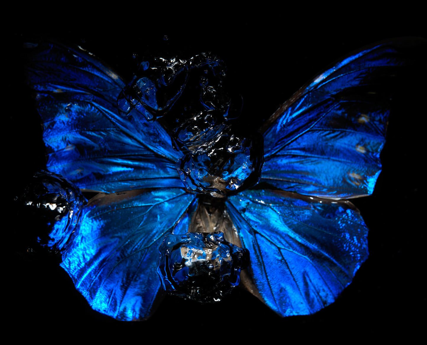Transparency of a dream illuminated. Plate XV photographic print - €6950 | Shop now & buy direct from the artists studio - Distil Ennui ™ est.1990.