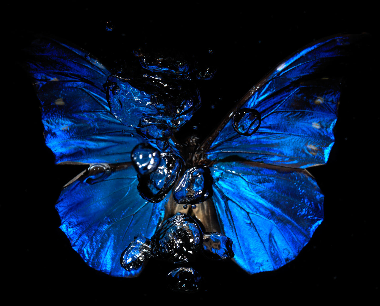 Transparency of a dream illuminated. Plate X photographic print - €6950 | Shop now & buy direct from the artists studio - Distil Ennui ™ est.1990.