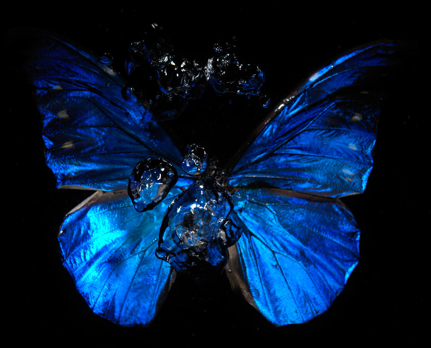 Transparency of a dream illuminated. Plate XI photographic print - €6950 | Shop now & buy direct from the artists studio - Distil Ennui ™ est.1990.