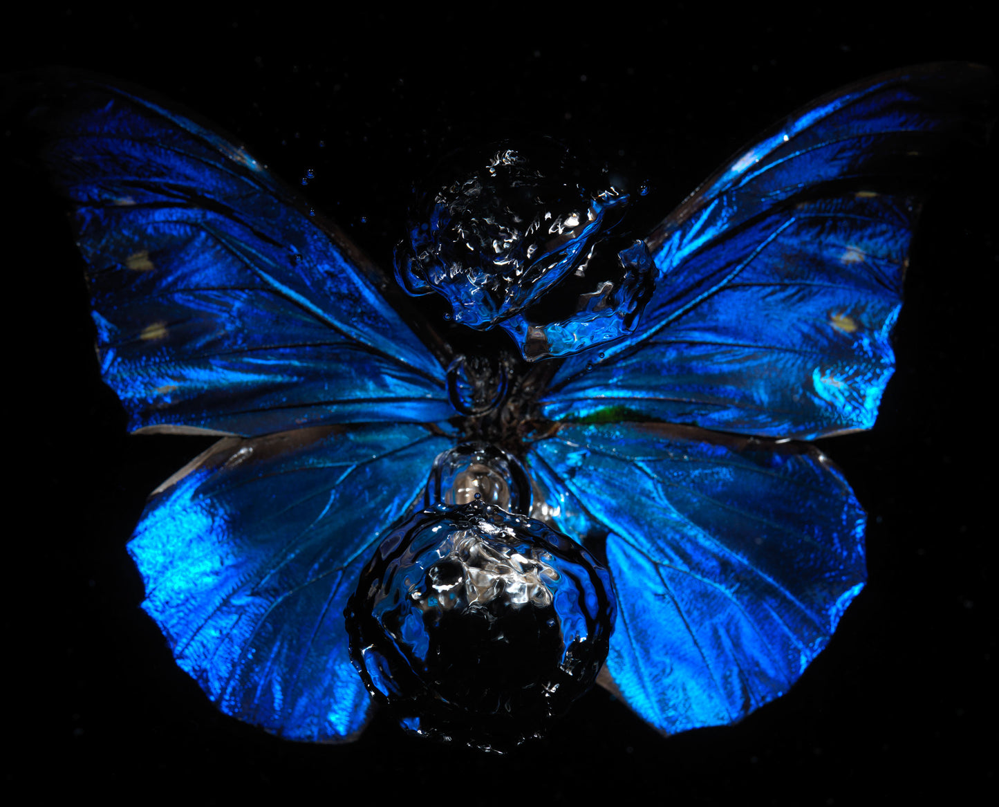 Transparency of a dream illuminated. Plate XIV photographic print - €6950 | Shop now & buy direct from the artists studio - Distil Ennui ™ est.1990.