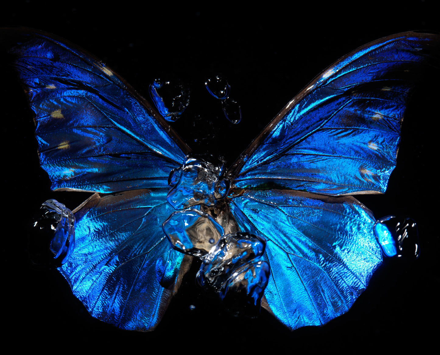 Transparency of a dream illuminated. Plate II photographic print - €6950 | Shop now & buy direct from the artists studio - Distil Ennui ™ est.1990.