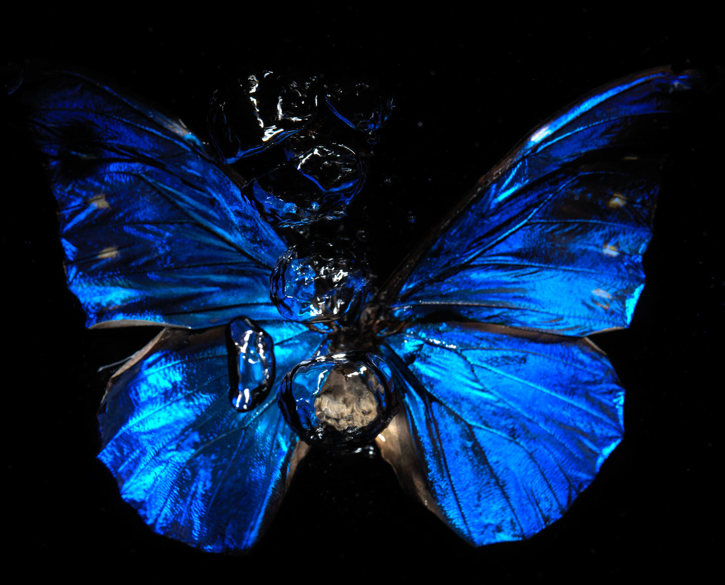 Transparency of a dream illuminated. Plate III photographic print - €6950 | Shop now & buy direct from the artists studio - Distil Ennui ™ est.1990.
