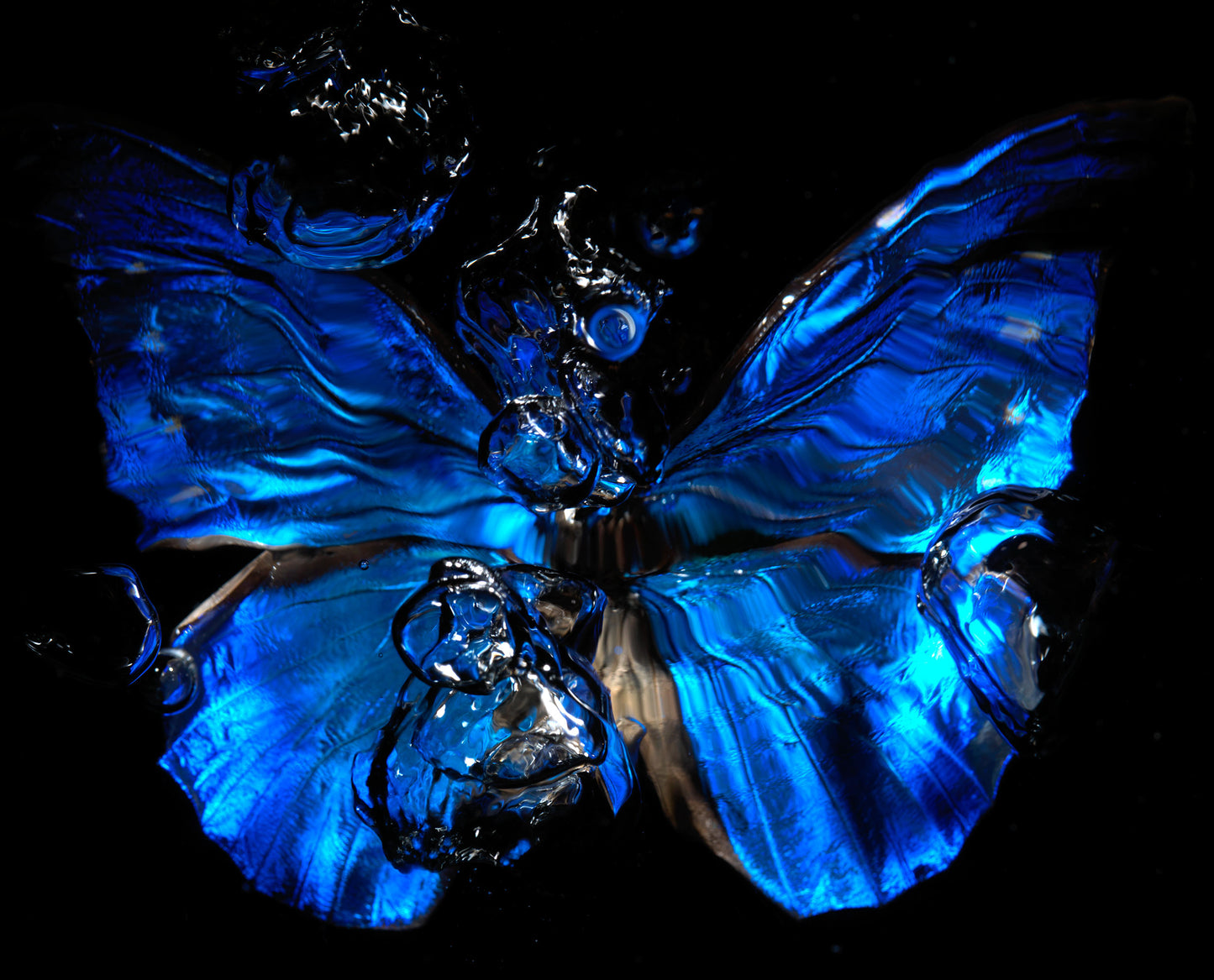 Transparency of a dream illuminated. Plate IV photographic print - €6950 | Shop now & buy direct from the artists studio - Distil Ennui ™ est.1990.