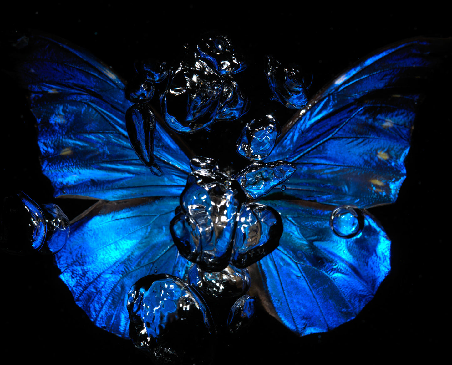 Transparency of a dream illuminated. Plate V photographic print - €6950 | Shop now & buy direct from the artists studio - Distil Ennui ™ est.1990.