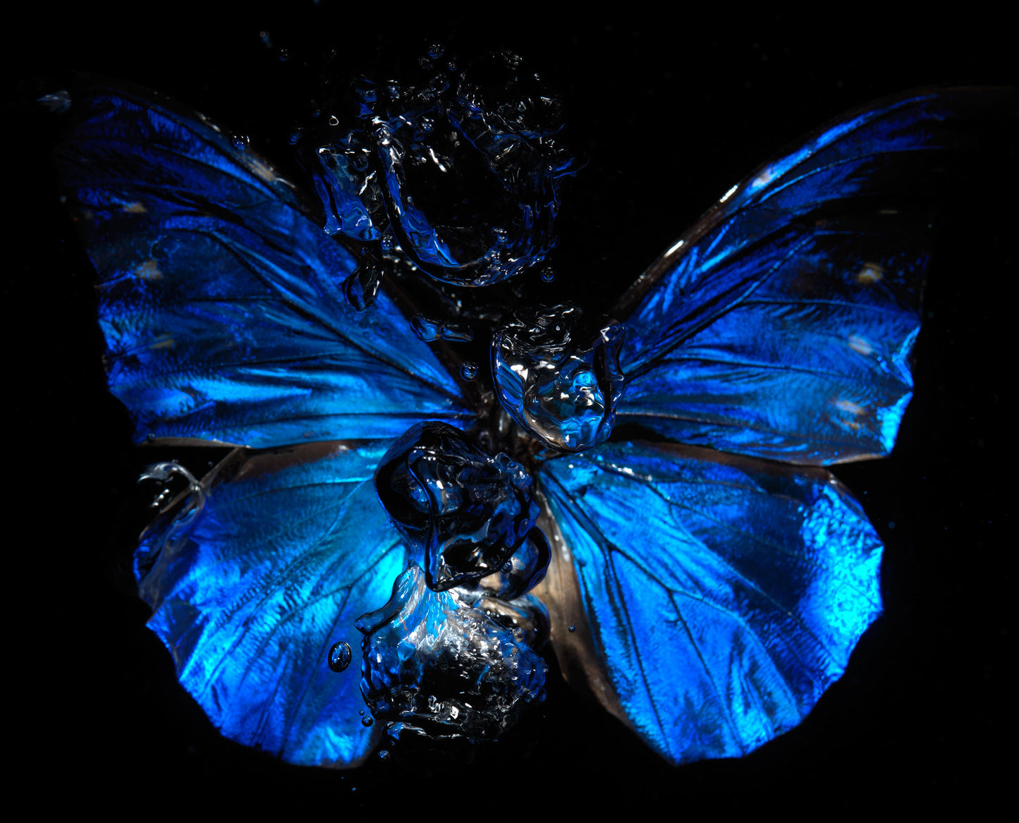 Transparency of a dream illuminated. Plate VI photographic print - €6950 | Shop now & buy direct from the artists studio - Distil Ennui ™ est.1990.