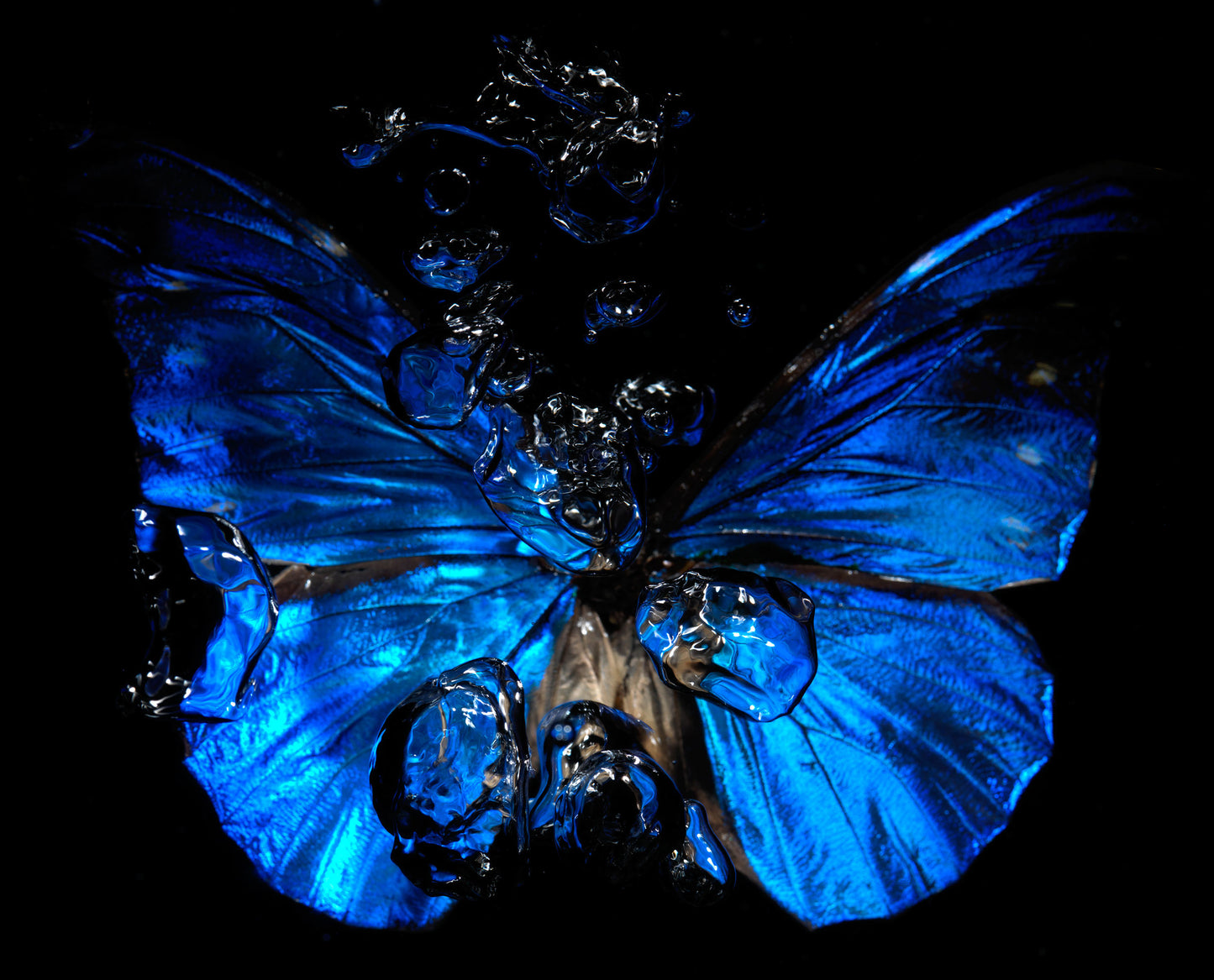 Transparency of a dream illuminated. Plate VII photographic print - €6950 | Shop now & buy direct from the artists studio - Distil Ennui ™ est.1990.