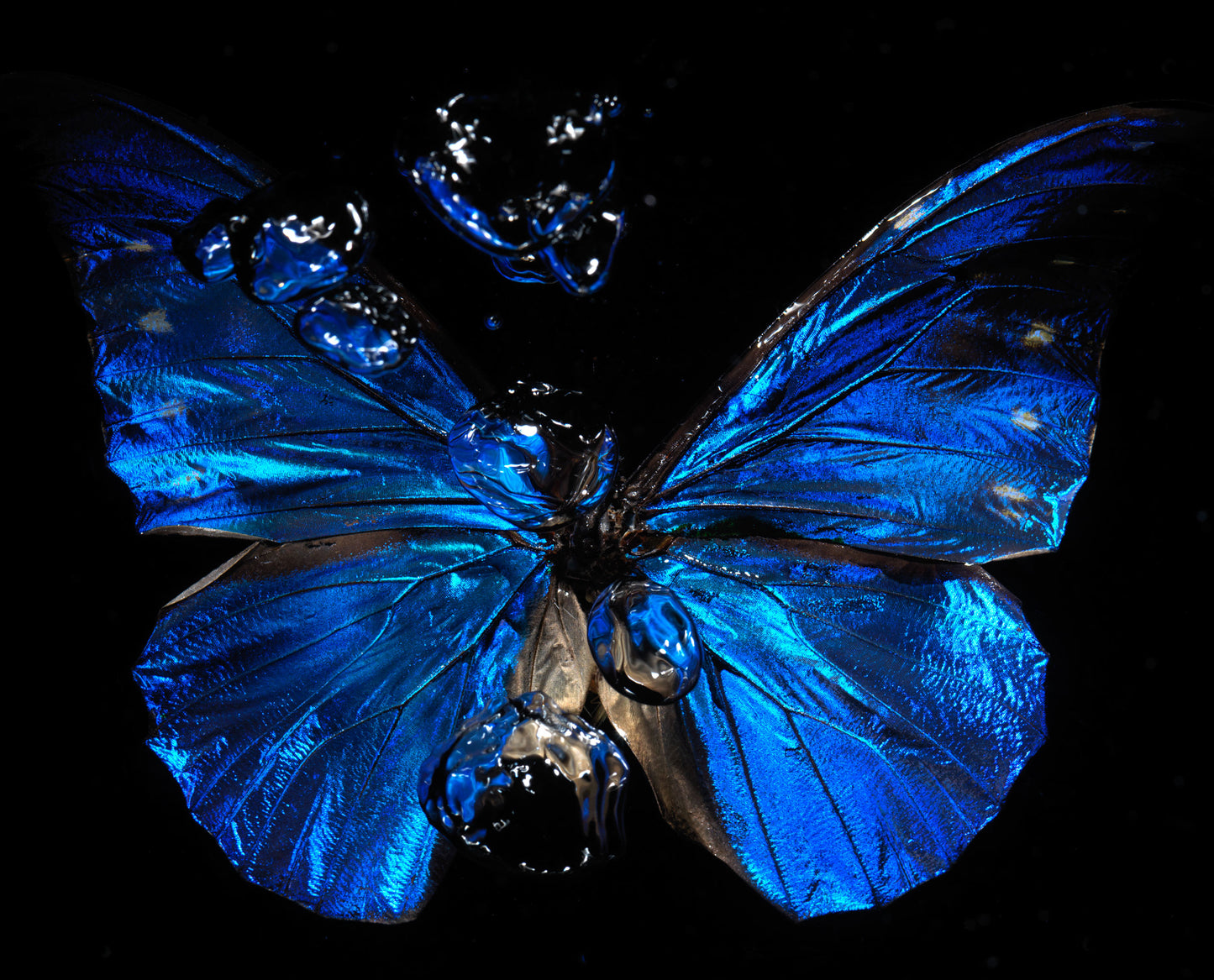 Transparency of a dream illuminated. Plate VIII photographic print - €6950 | Shop now & buy direct from the artists studio - Distil Ennui ™ est.1990.