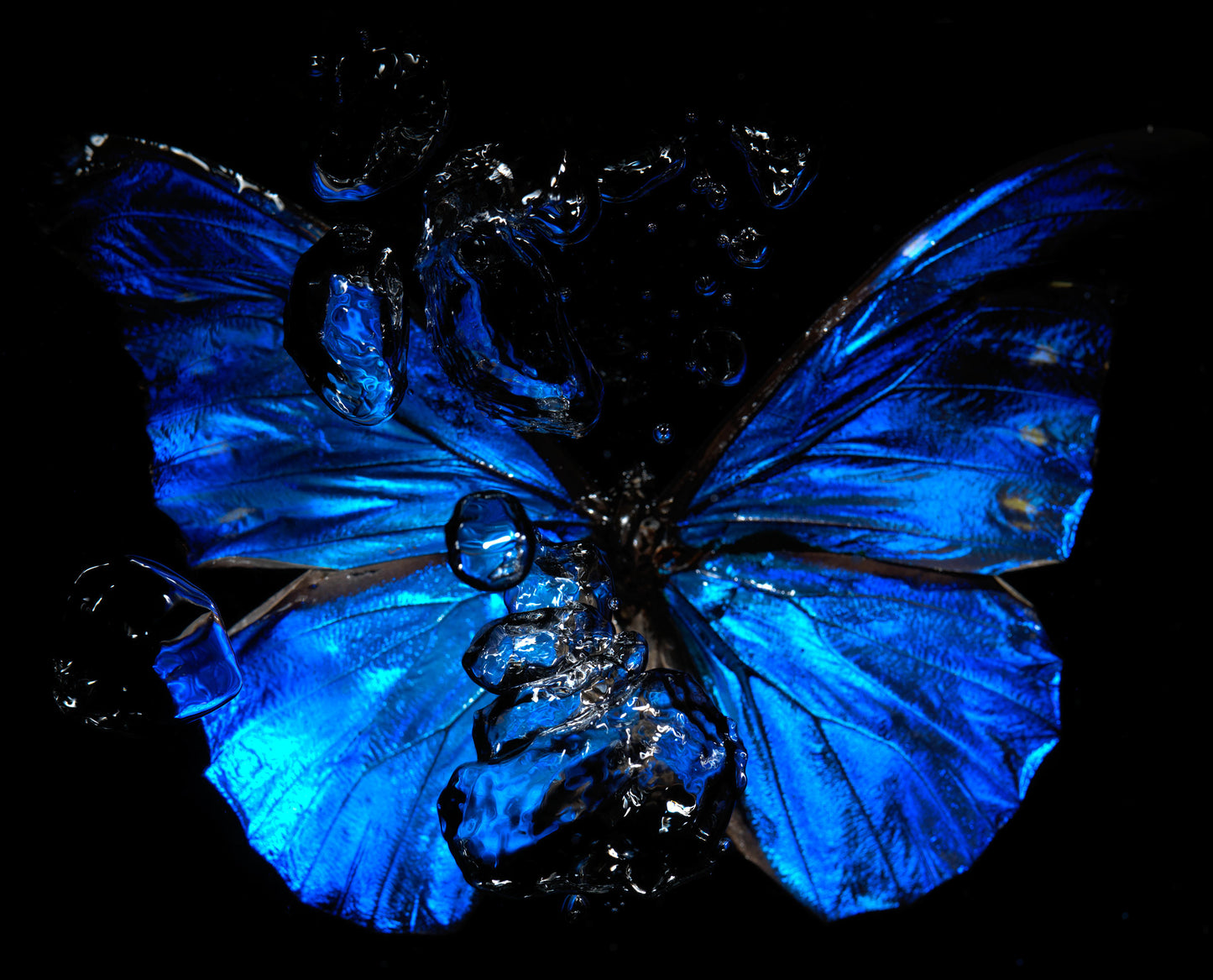 Transparency of a dream illuminated. Plate IX photographic print - €6950 | Shop now & buy direct from the artists studio - Distil Ennui ™ est.1990.