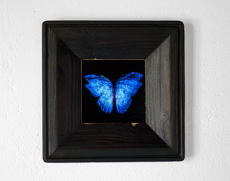 copper mounted & framed 'Mirror of the goddess No.III' photographic butterfly print - €360 | Shop now & buy direct from the artists studio - Distil Ennui ™ est.1990.