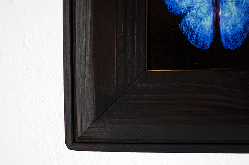 copper mounted & framed 'Mirror of the goddess No.III' photographic butterfly print - €360 | Shop now & buy direct from the artists studio - Distil Ennui ™ est.1990.