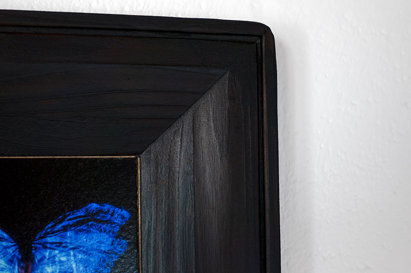 copper mounted & framed 'Mirror of the goddess No.III' photographic butterfly print - €360 | Shop now & buy direct from the artists studio - Distil Ennui ™ est.1990.