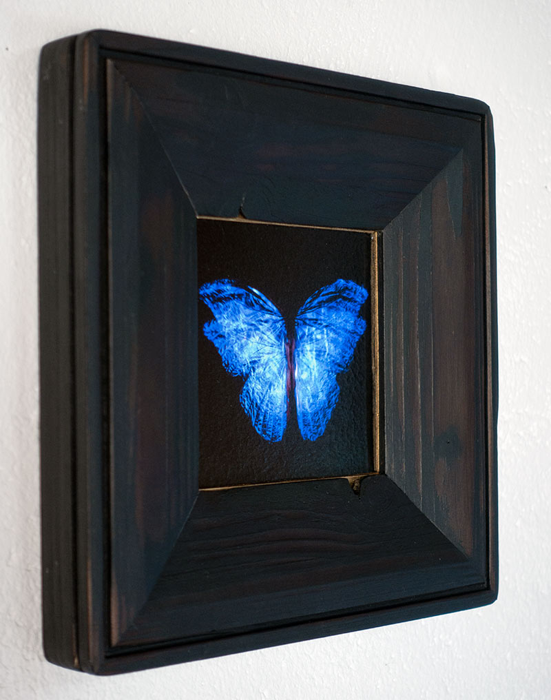 copper mounted & framed 'Mirror of the goddess No.III' photographic butterfly print - €360 | Shop now & buy direct from the artists studio - Distil Ennui ™ est.1990.