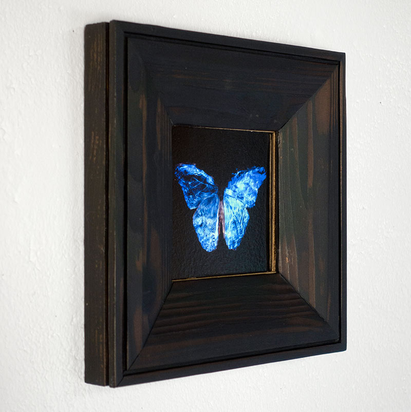 copper mounted & framed 'Mirror of the goddess No.IV' photographic butterfly print - €360 | Shop now & buy direct from the artists studio - Distil Ennui ™ est.1990.