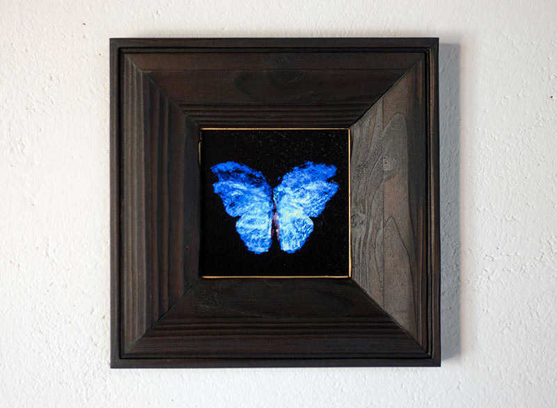 copper mounted & framed 'Mirror of the goddess No.II' photographic butterfly print - €360 | Shop now & buy direct from the artists studio - Distil Ennui ™ est.1990.