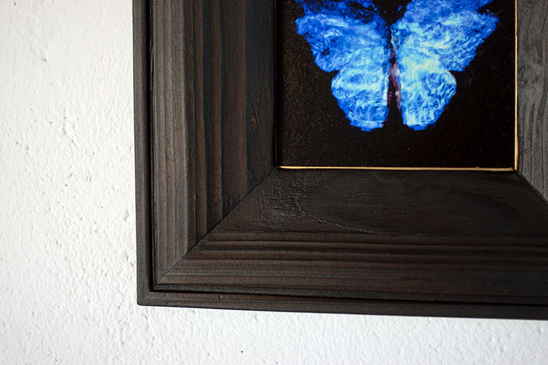 copper mounted & framed 'Mirror of the goddess No.II' photographic butterfly print - €360 | Shop now & buy direct from the artists studio - Distil Ennui ™ est.1990.