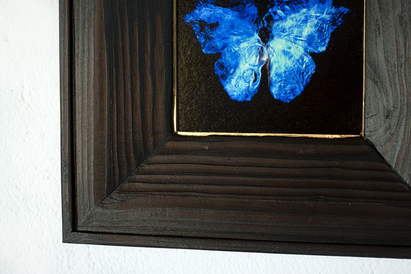 copper mounted & framed 'Mirror of the goddess No.I' photographic butterfly print - €360 | Shop now & buy direct from the artists studio - Distil Ennui ™ est.1990.