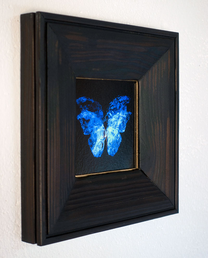 copper mounted & framed 'Mirror of the goddess No.I' photographic butterfly print - €360 | Shop now & buy direct from the artists studio - Distil Ennui ™ est.1990.