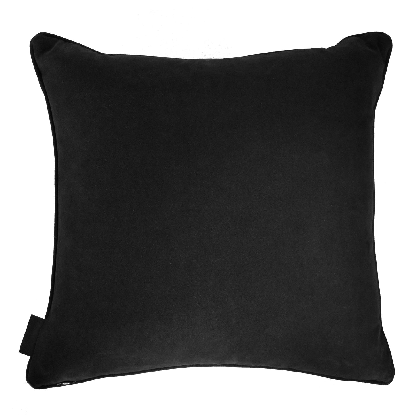 Morpho Amathonte Blue Butterfly Silk Cushion - €190 | Shop now & buy direct from the artists studio - Distil Ennui ™ est.1990.