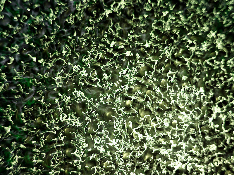 Underwater photograph water light science experiments pure physics Verdant Mid Tone tonality from Cymatic Water and Li