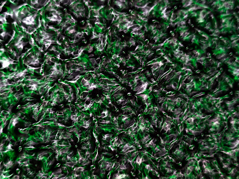 Underwater photograph water light science experiments pure physics Verdant Low Light tonality from Cymatic Water and L