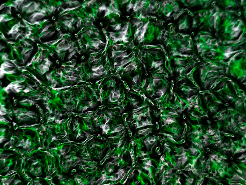 Underwater photograph water light science experiments pure physics Verdant Low Light tonality from Cymatic Water and L