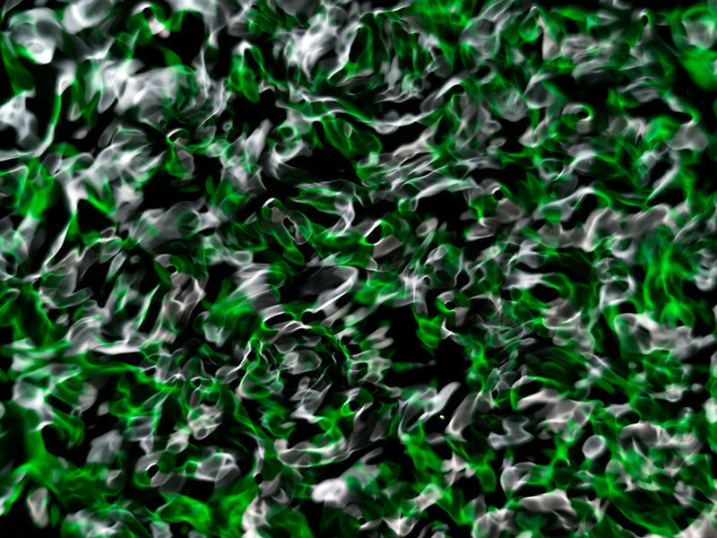 Underwater photograph water light science experiments pure physics Verdant Low Light tonality from Cymatic Water and L