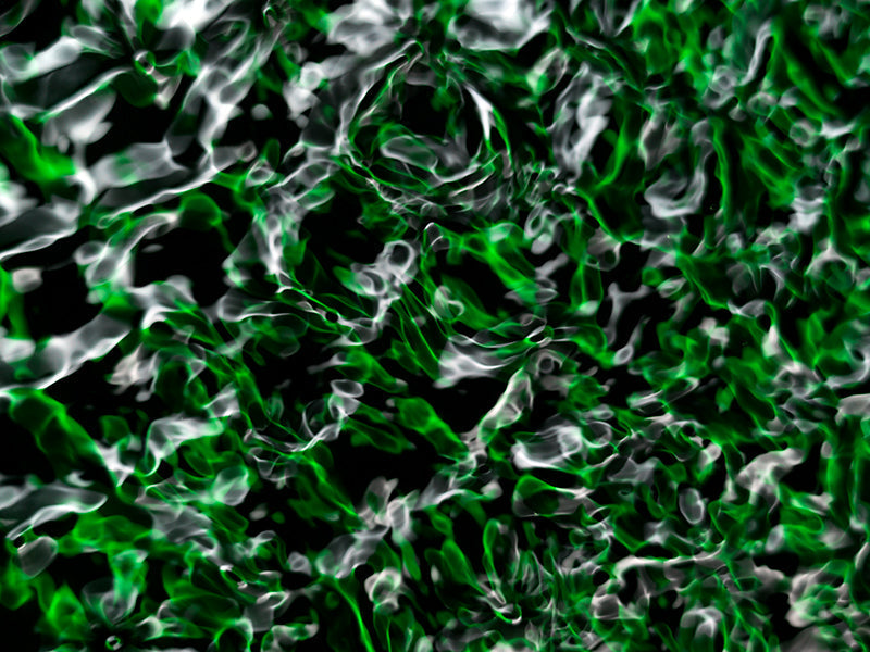 Underwater photograph water light science experiments pure physics Verdant Low Light tonality from Cymatic Water and L