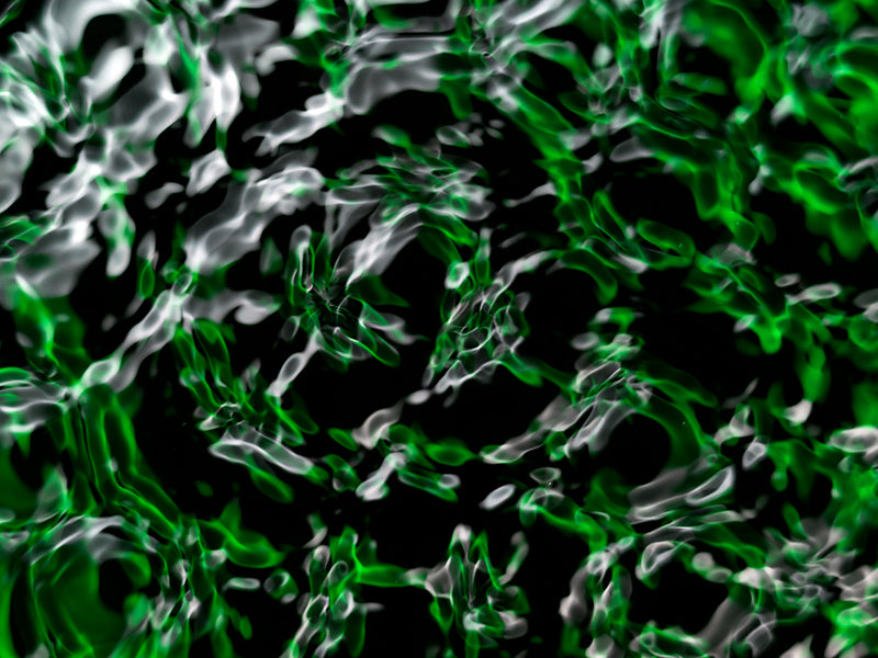 Underwater photograph water light science experiments pure physics Verdant Low Light tonality from Cymatic Water and L