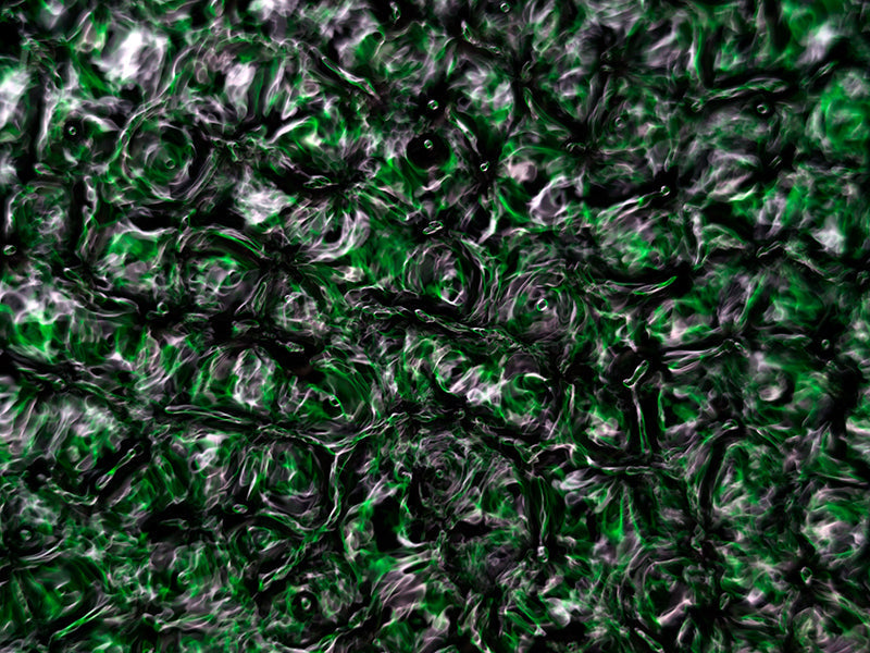 Underwater photograph water light science experiments pure physics Verdant Low Light tonality from Cymatic Water and L