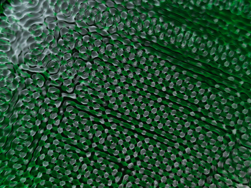 Underwater photograph water light science experiments pure physics Verdant Low Light tonality from Cymatic Water and L