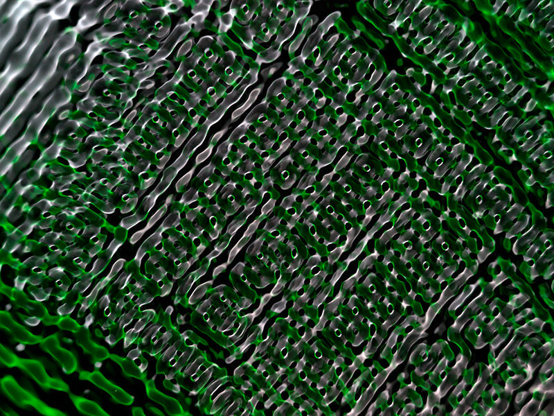 Underwater photograph water light science experiments pure physics Verdant Low Light tonality from Cymatic Water and L