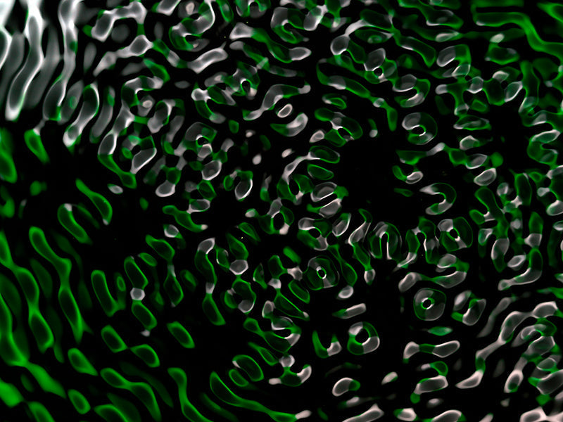 Underwater photograph water light science experiments pure physics Verdant Low Light tonality from Cymatic Water and L