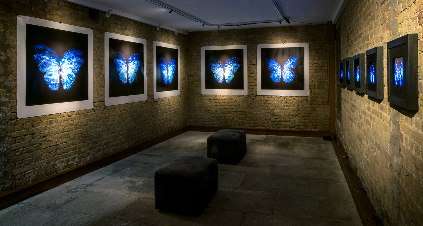 Transparency of a dream illuminated. Plate III photographic print - €6950 | Shop now & buy direct from the artists studio - Distil Ennui ™ est.1990.