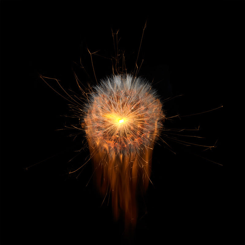 Underwater photograph exploding flower series sparks energy shot Warm Low Light tonality from the Fusion series