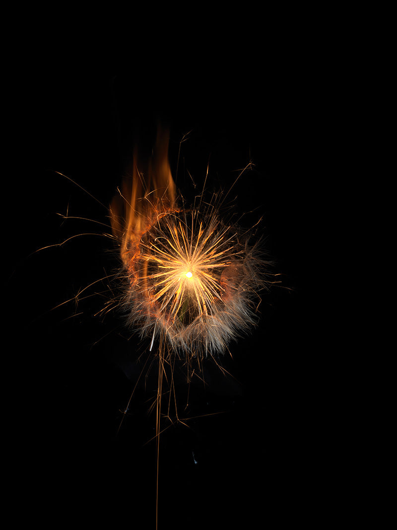 Underwater photograph exploding flower series sparks energy shot Warm Low Light tonality from the Fusion series