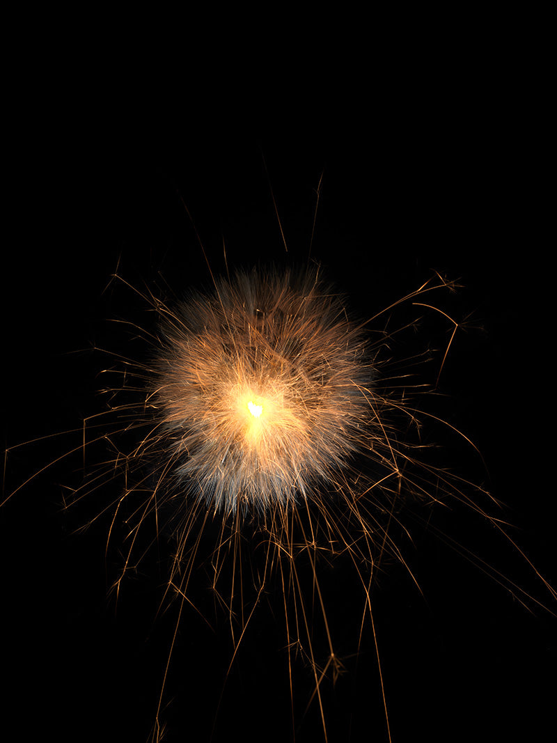 Underwater photograph exploding flower series sparks energy shot Warm Low Light tonality from the Fusion series