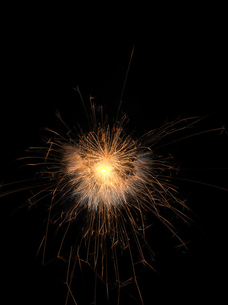 Underwater photograph exploding flower series sparks energy shot Warm Low Light tonality from the Fusion series